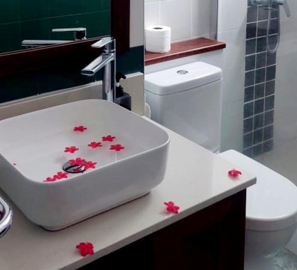 Hotel Ocean 3*